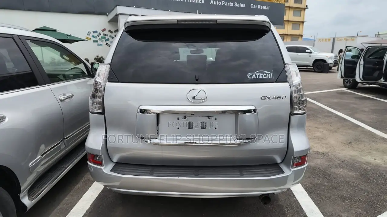 Lexus GX 2013 Silver
