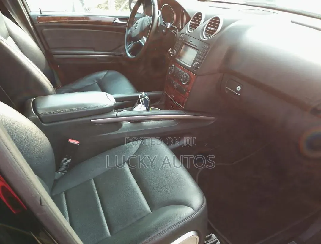 Mercedes-Benz M Class 2010 Black