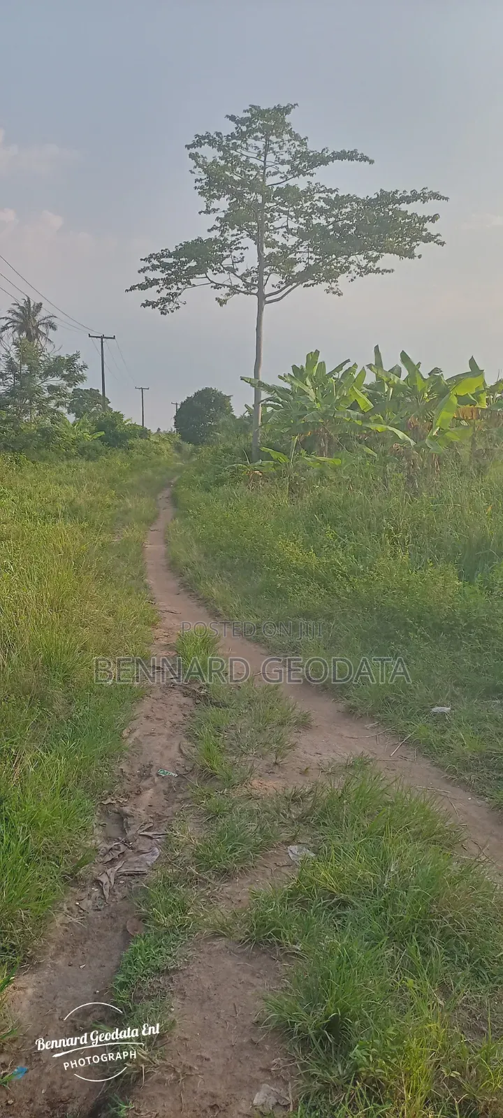 Farmland for Sale