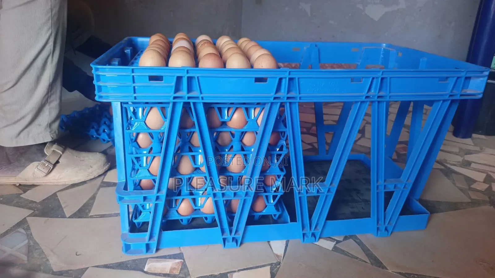 Egg Transfer Basket
