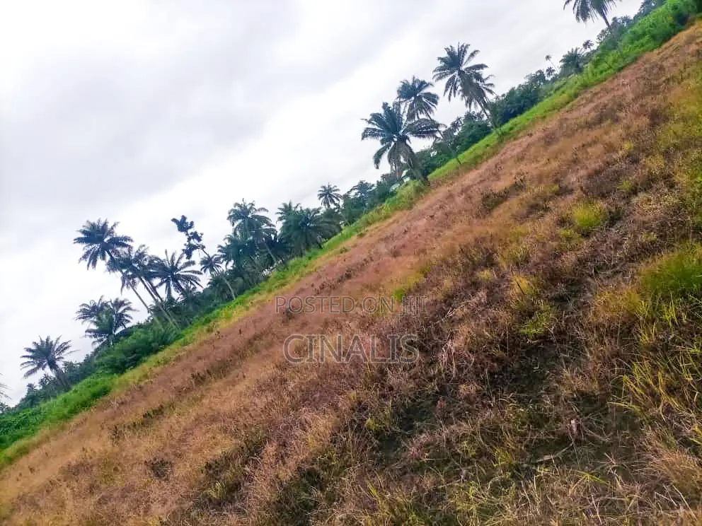 11 Acres Commercial Land for Business Use