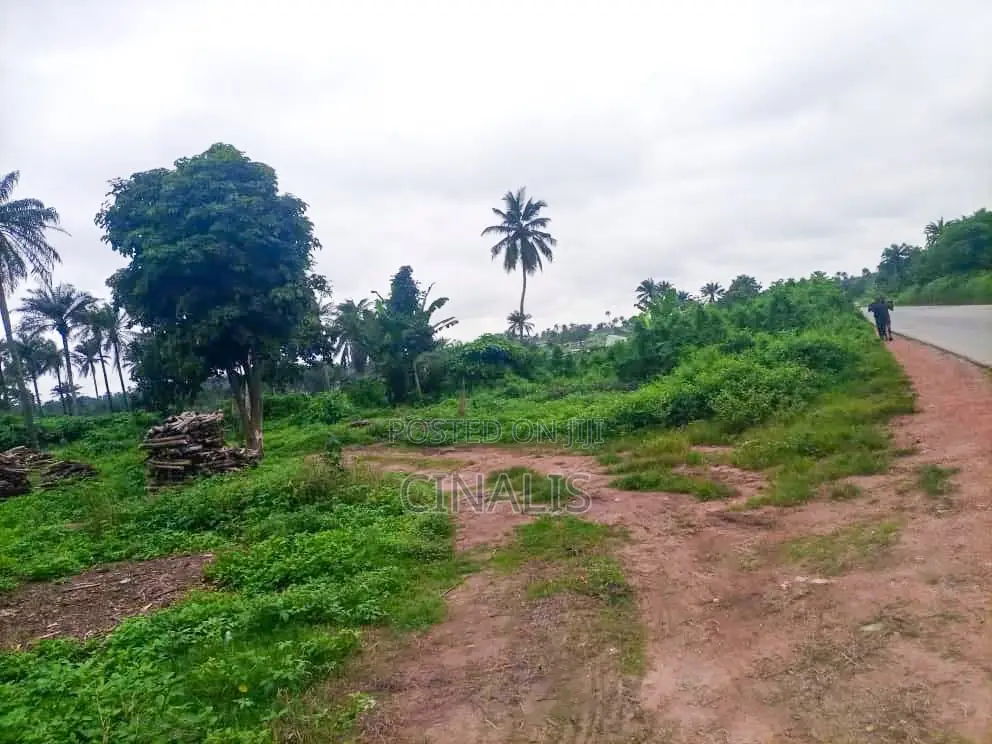 11 Acres Commercial Land for Business Use