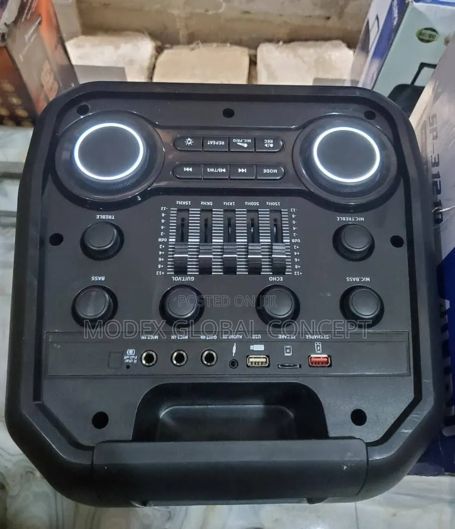 Ailipu SP-3121D Portable Public Address System