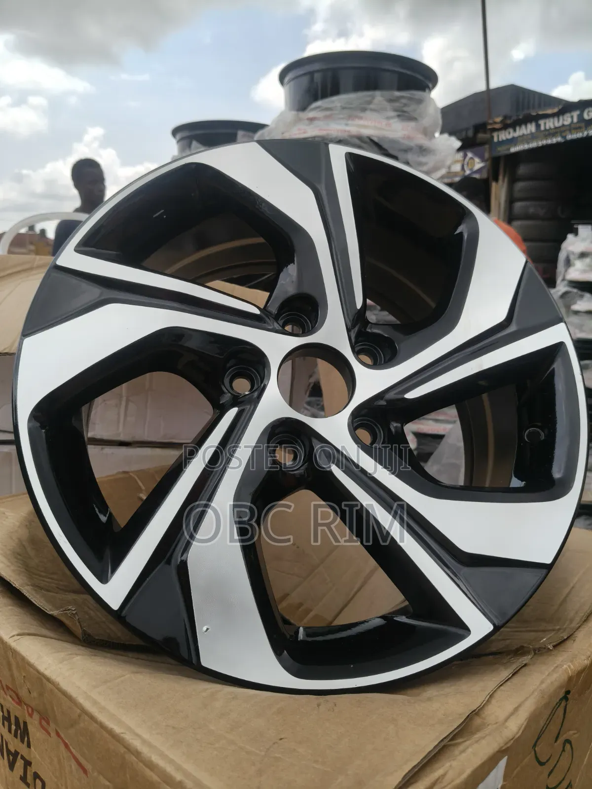 Alloy Rims and Tires