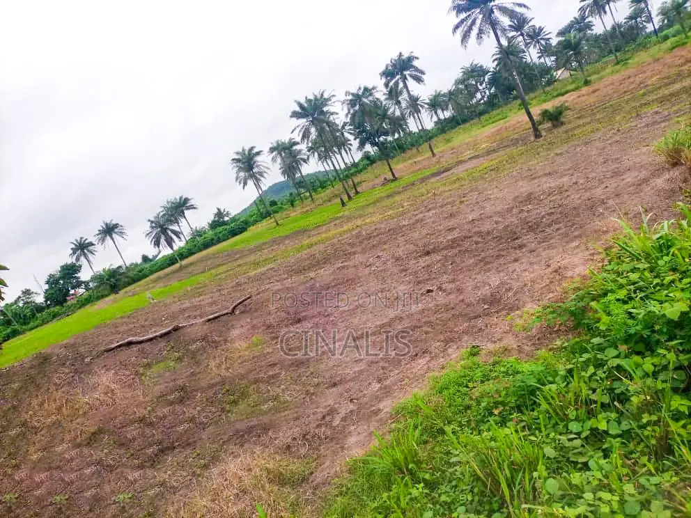 Commercial Land for Warehouse, Logistics Industrial Use