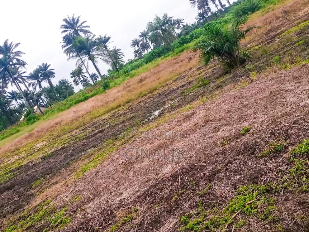 Commercial Land for Warehouse, Logistics Industrial Use