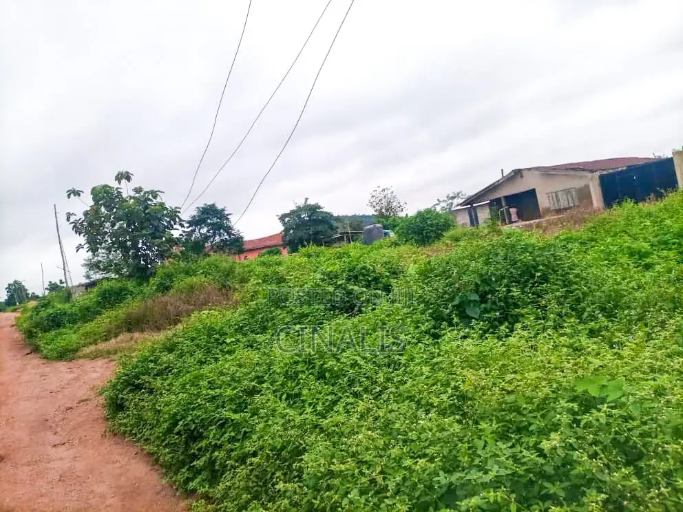Commercial Land for Warehouse, Logistics Industrial Use