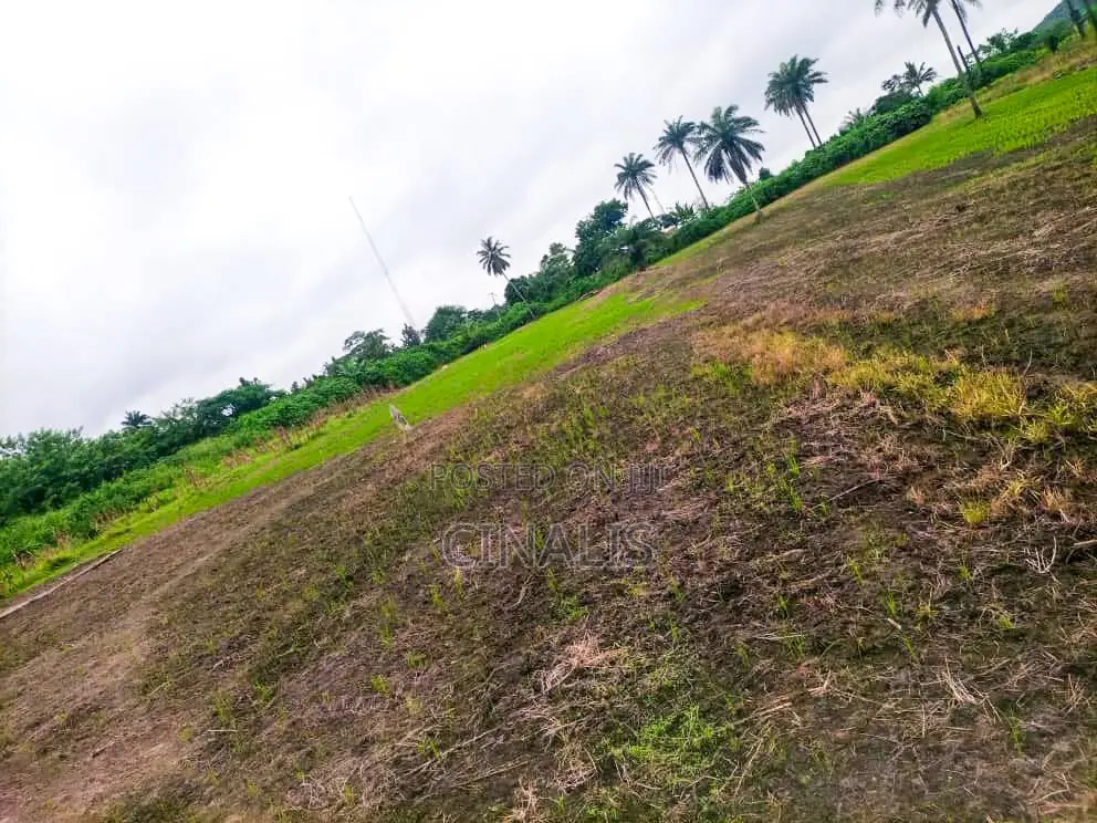 Affordable Commercial Land for Business Operations