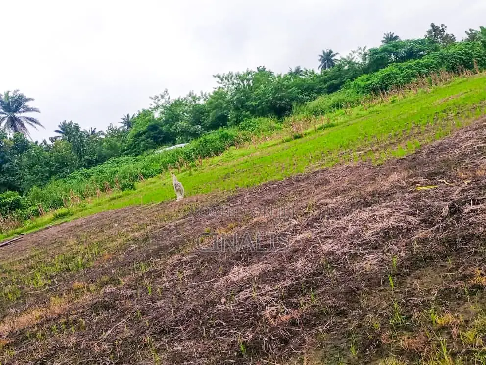Affordable Commercial Land for Business Operations