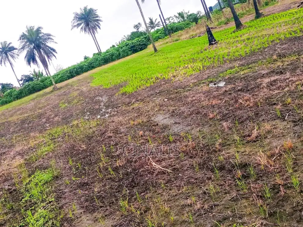 Affordable Commercial Land for Business Operations