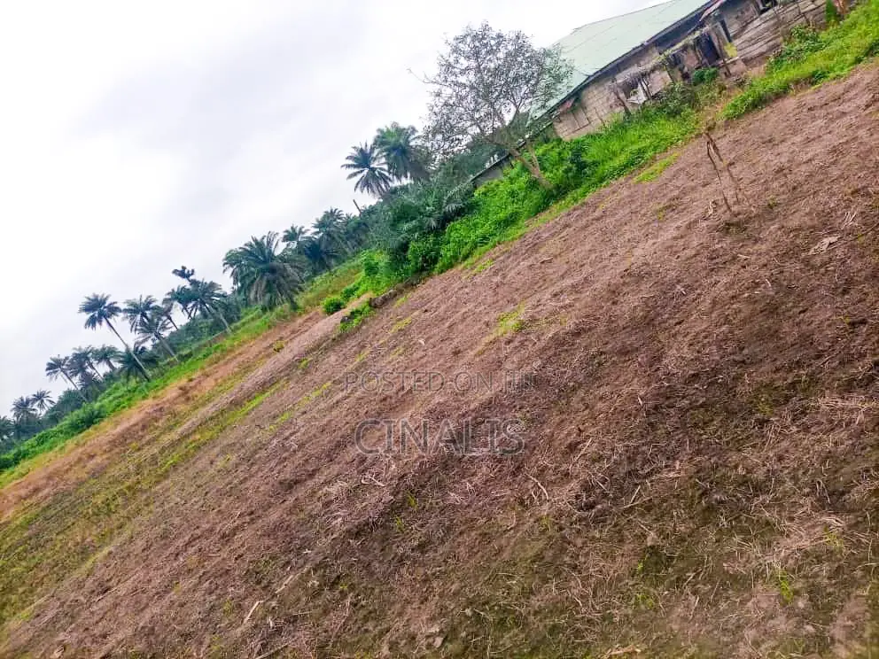 11 Acres Commercial Land for Business Use