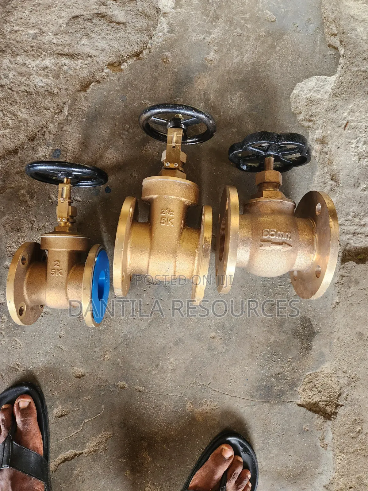 2 1/2" Brass Gate Valve