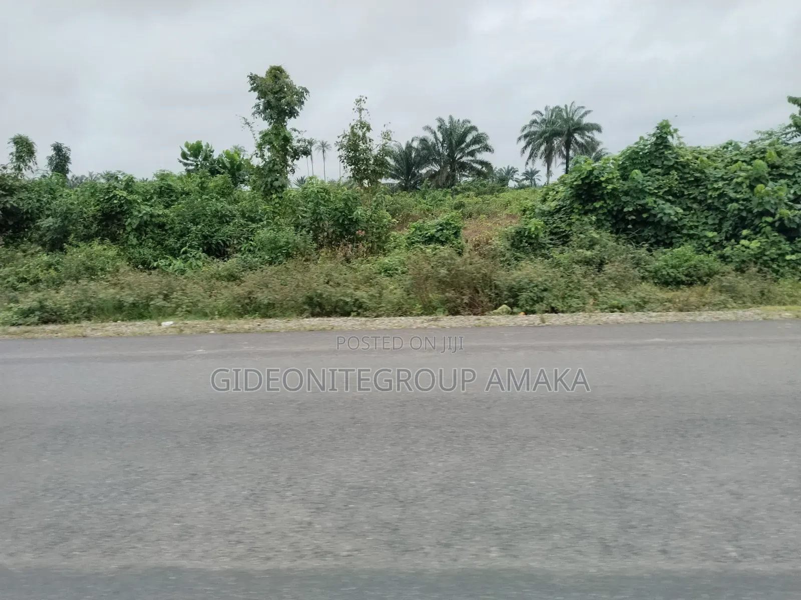 Land for Sale in Abraka