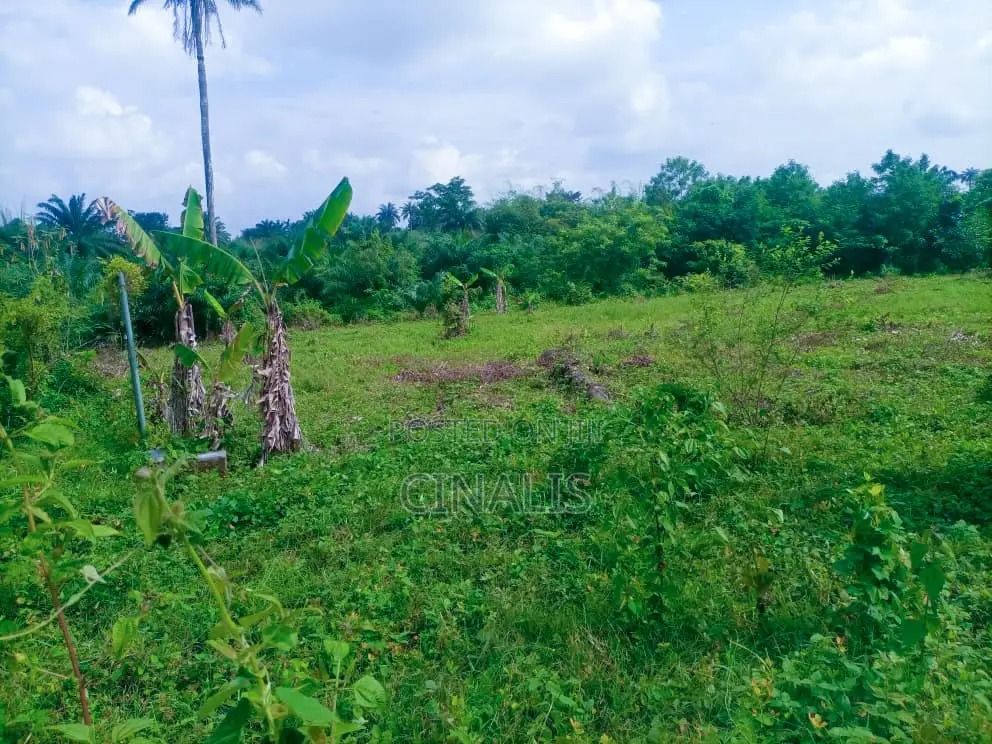 Residential Land With Registered Survey
