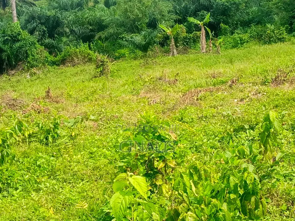 Affordable Residential Land