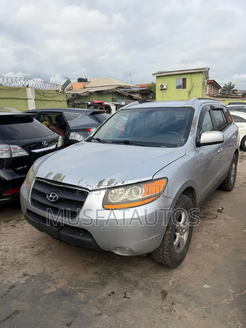 Hyundai Santa Fe 2009 Silver