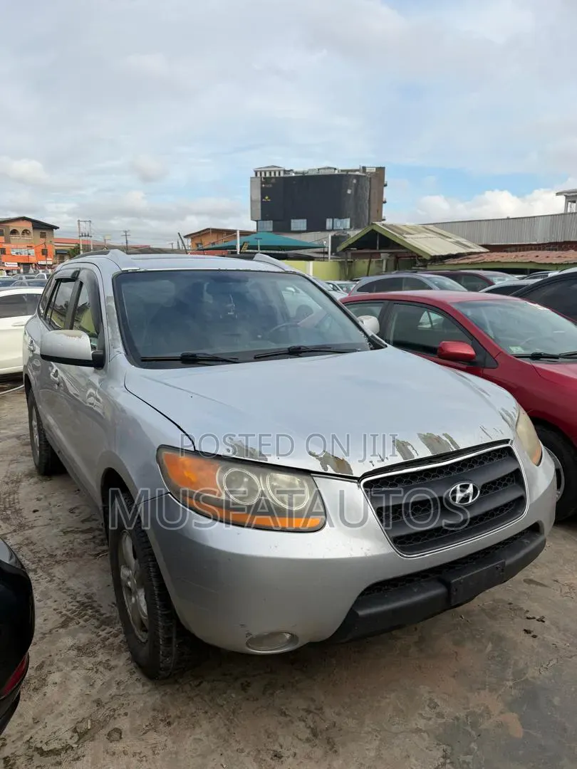 Hyundai Santa Fe 2009 Silver