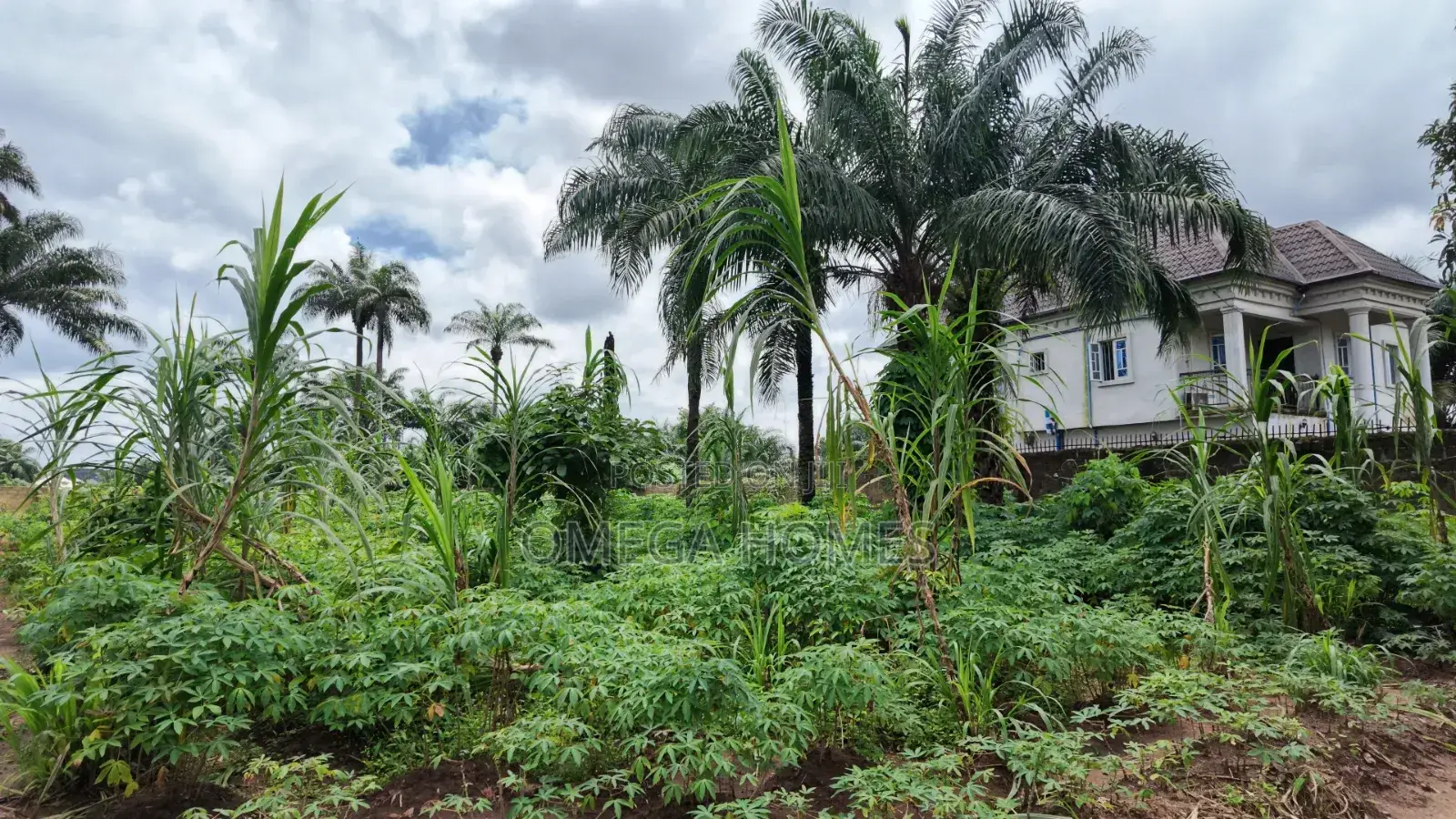 6 Plots of Land Available in Umuahia for Sale