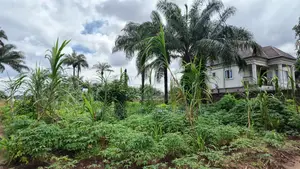 6 Plots of Land Available in Umuahia for Sale
