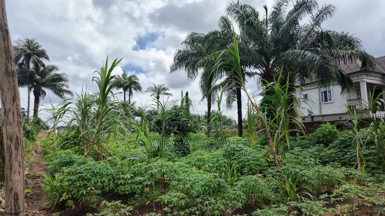 6 Plots of Land Available in Umuahia for Sale