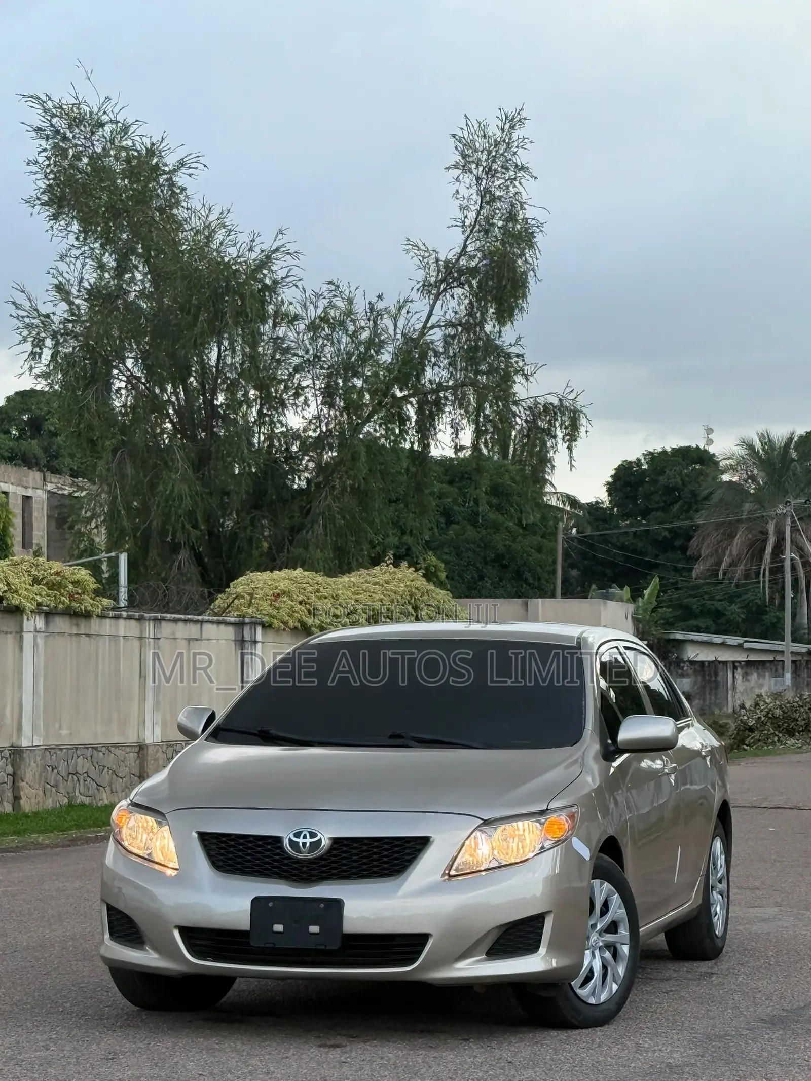 Toyota Corolla 2010 Gold