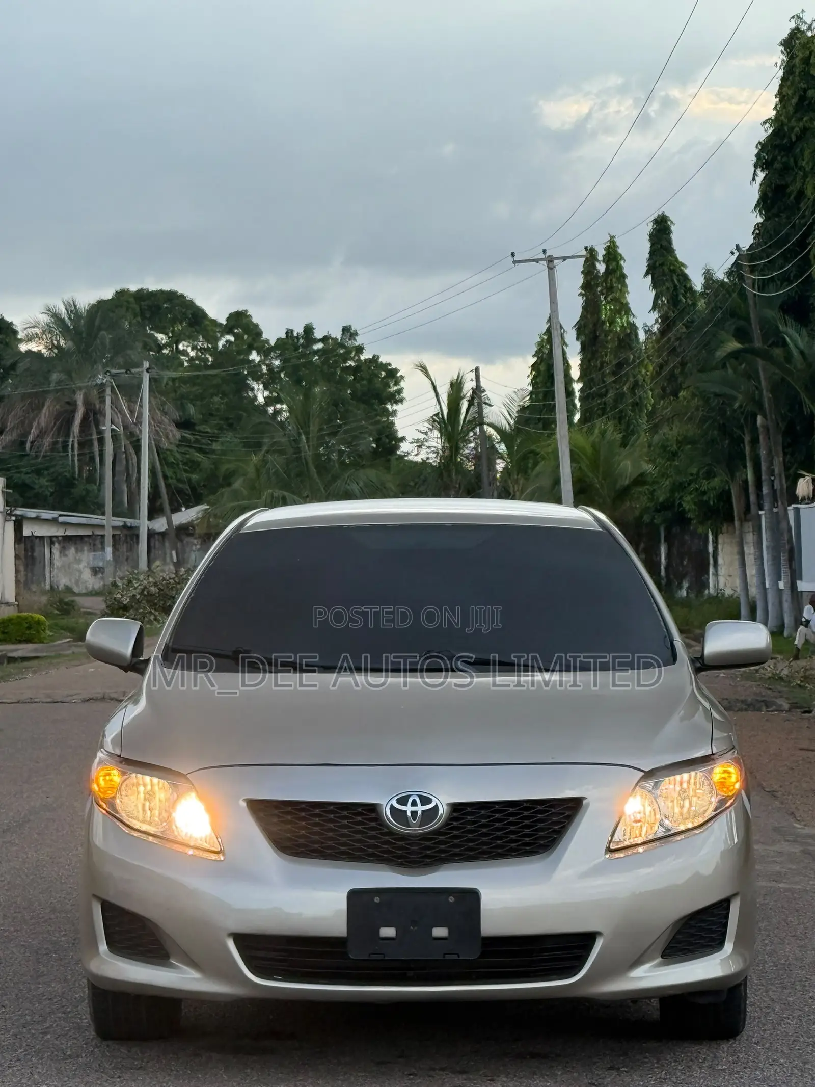 Toyota Corolla 2010 Gold