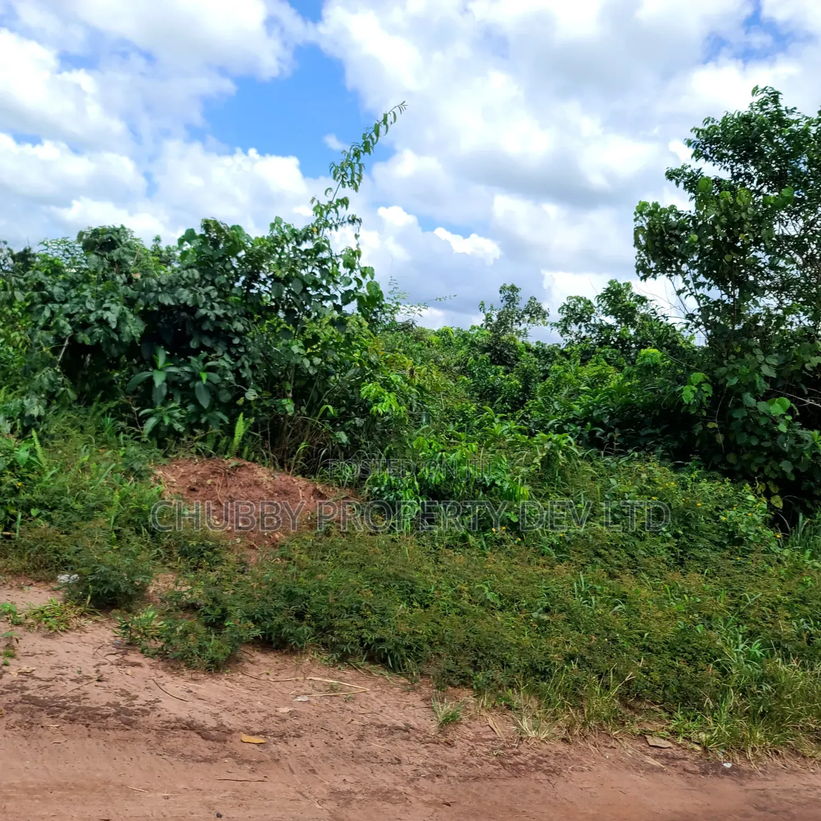 Plots of Land