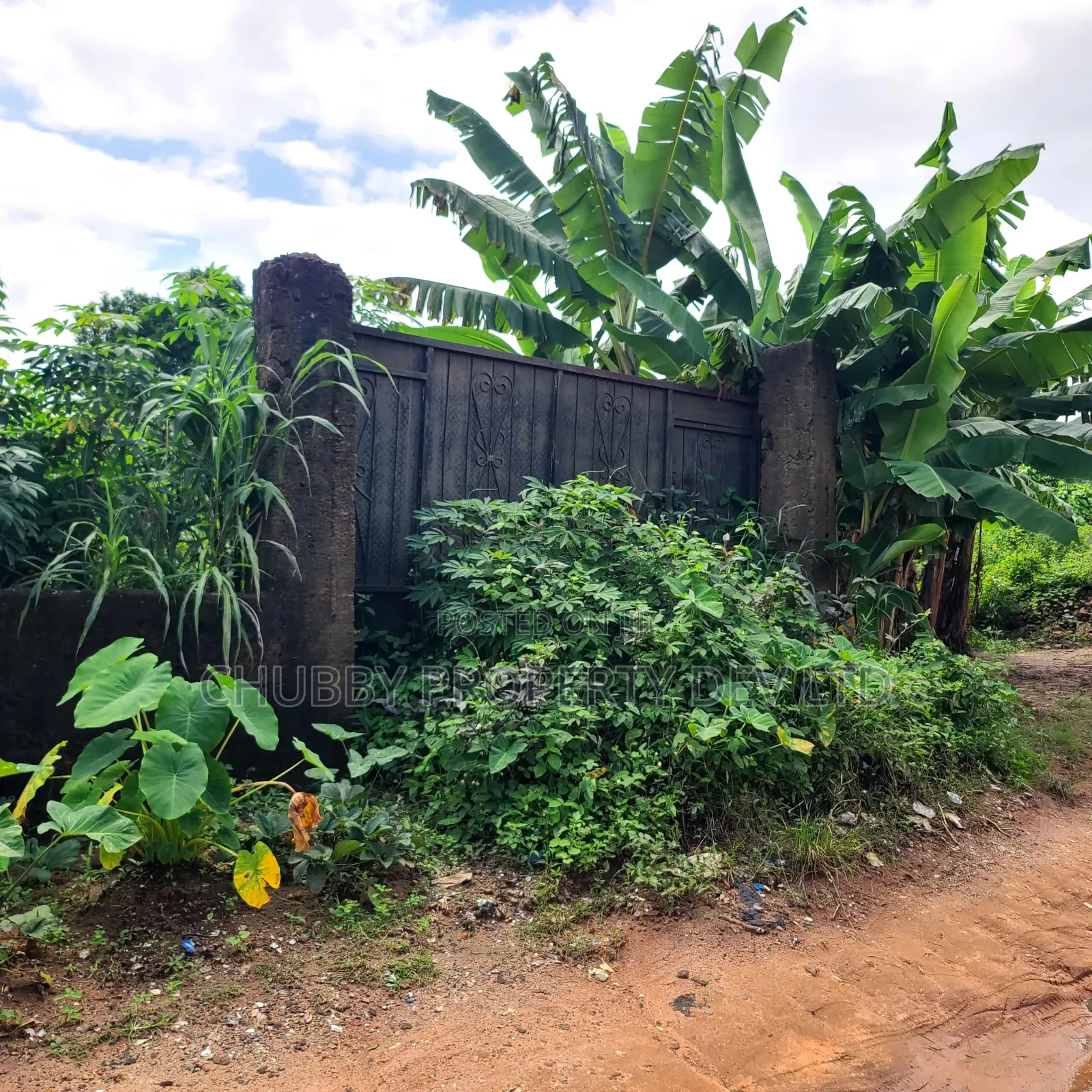 Plots of Land