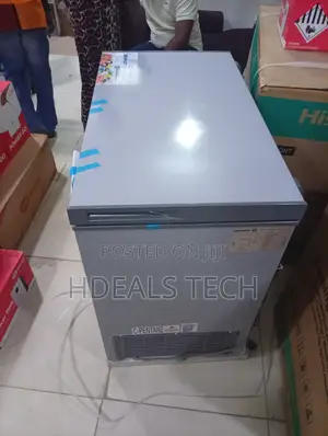 Skyrun BD-250AI Deep Freezer – Spacious Interior Inverter