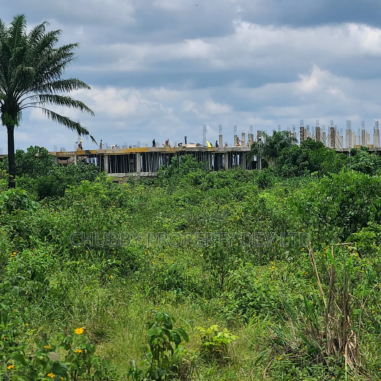 Plots of Land