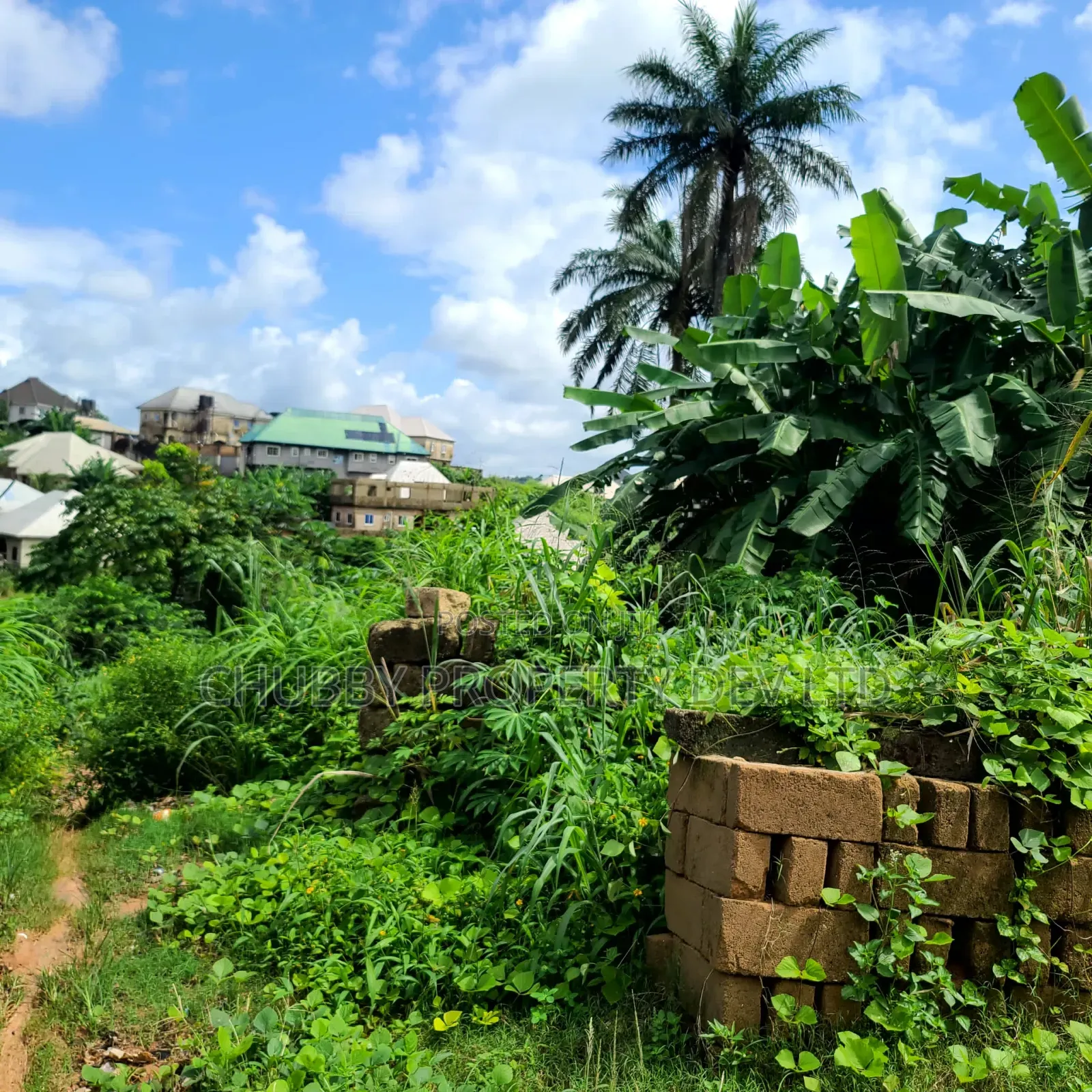 Plots of Land