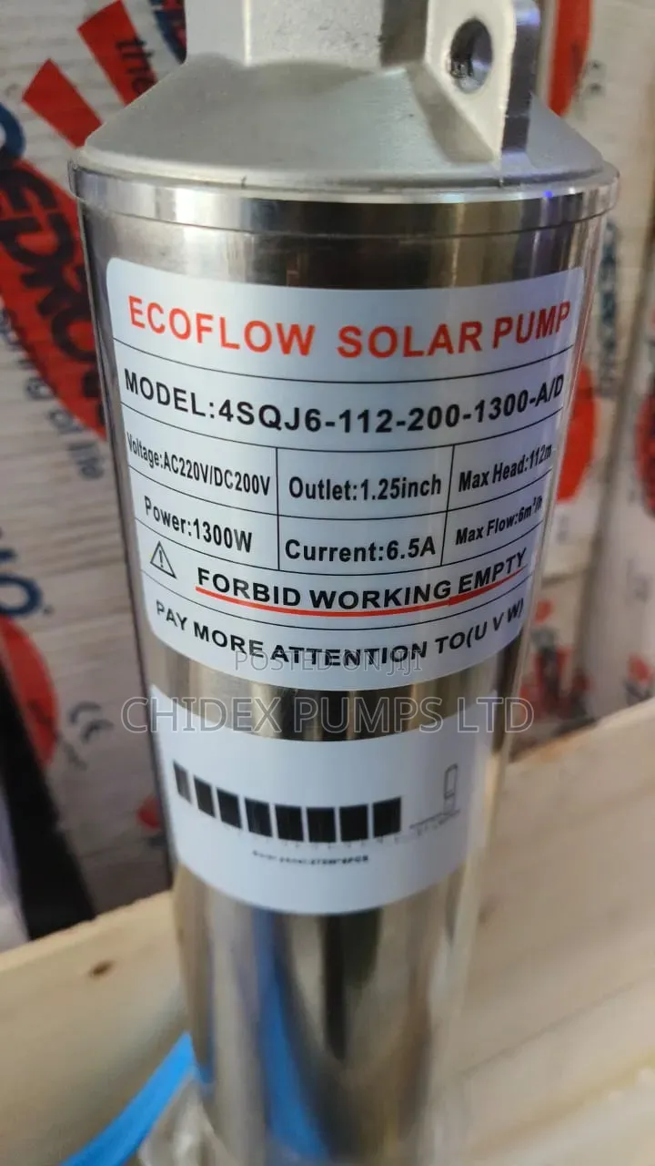 AC/Dc Ecoflow Solar Submersible Pump