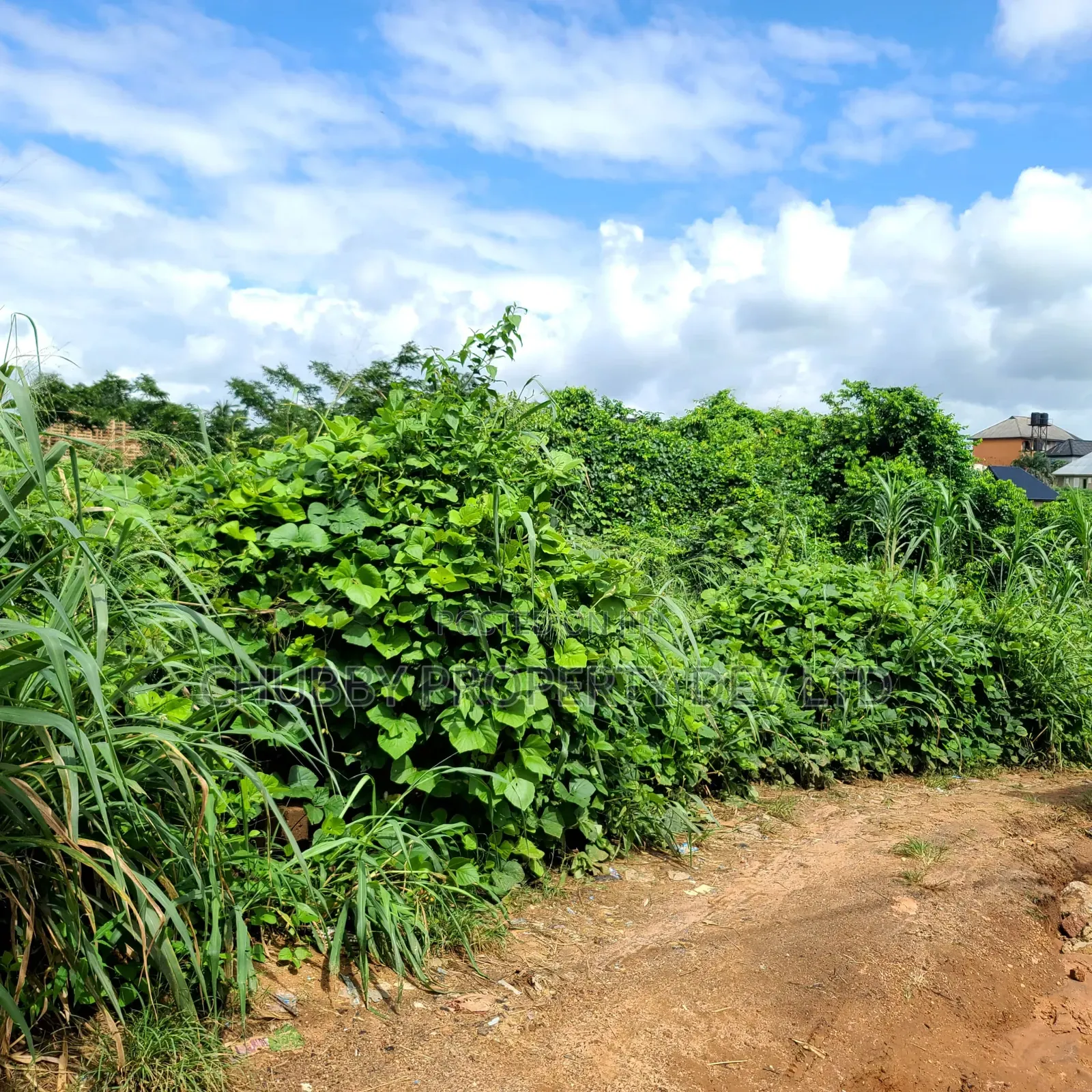 Plot of Land