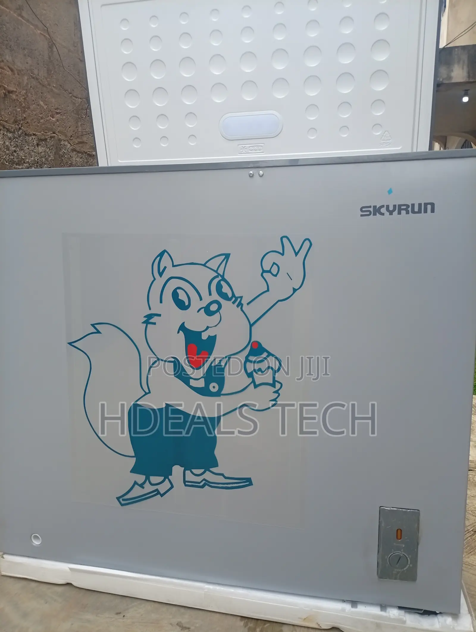 Skyrun BD-250AI Deep Freezer – Store and Preserve