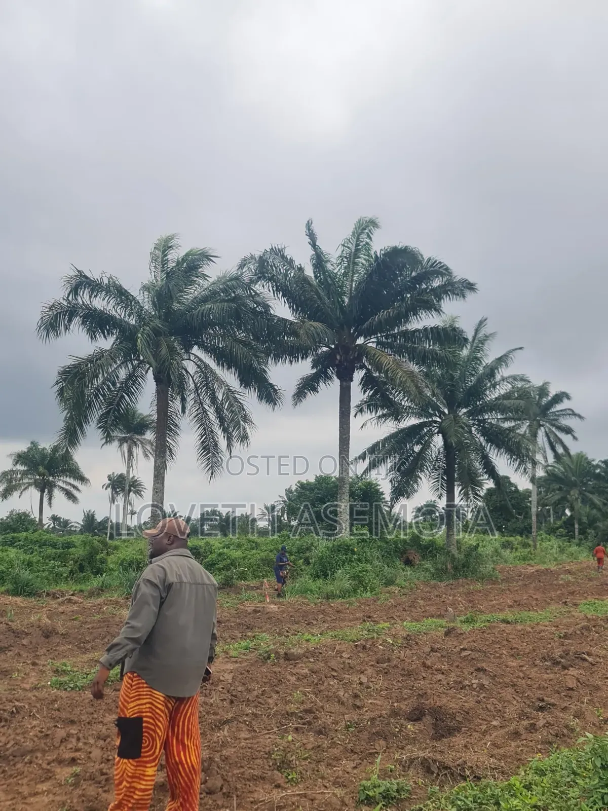 Plot Palm Rich Estate Phase 7, Ado-Odo, Ota