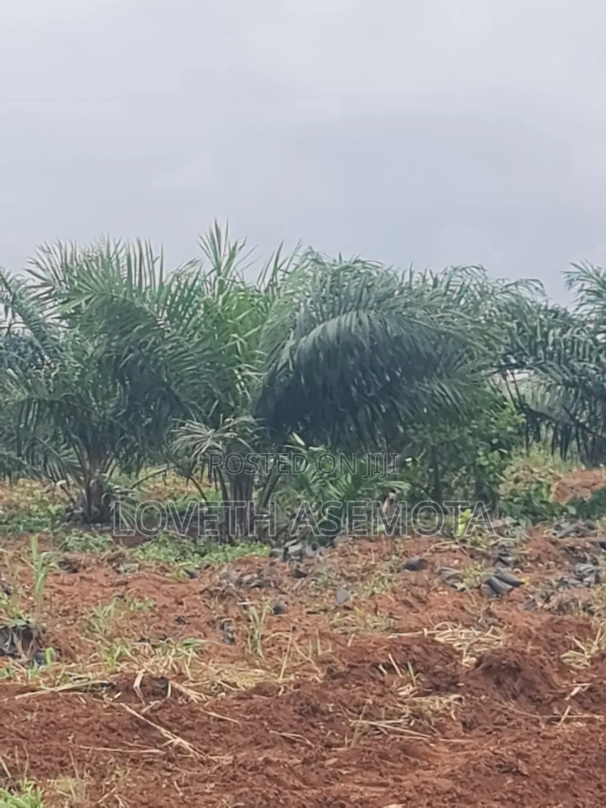 Plot Palm Rich Estate Phase 7, Ado-Odo, Ota