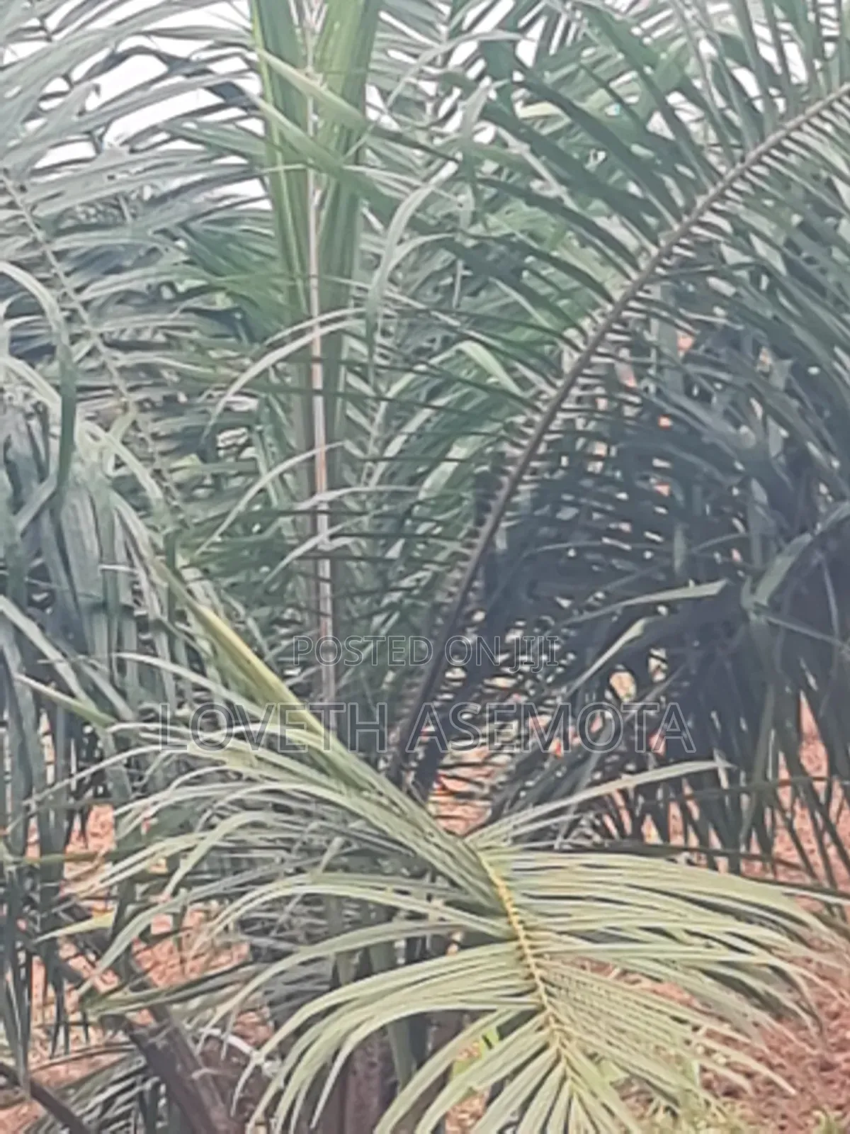 Plot Palm Rich Estate Phase 7, Ado-Odo, Ota