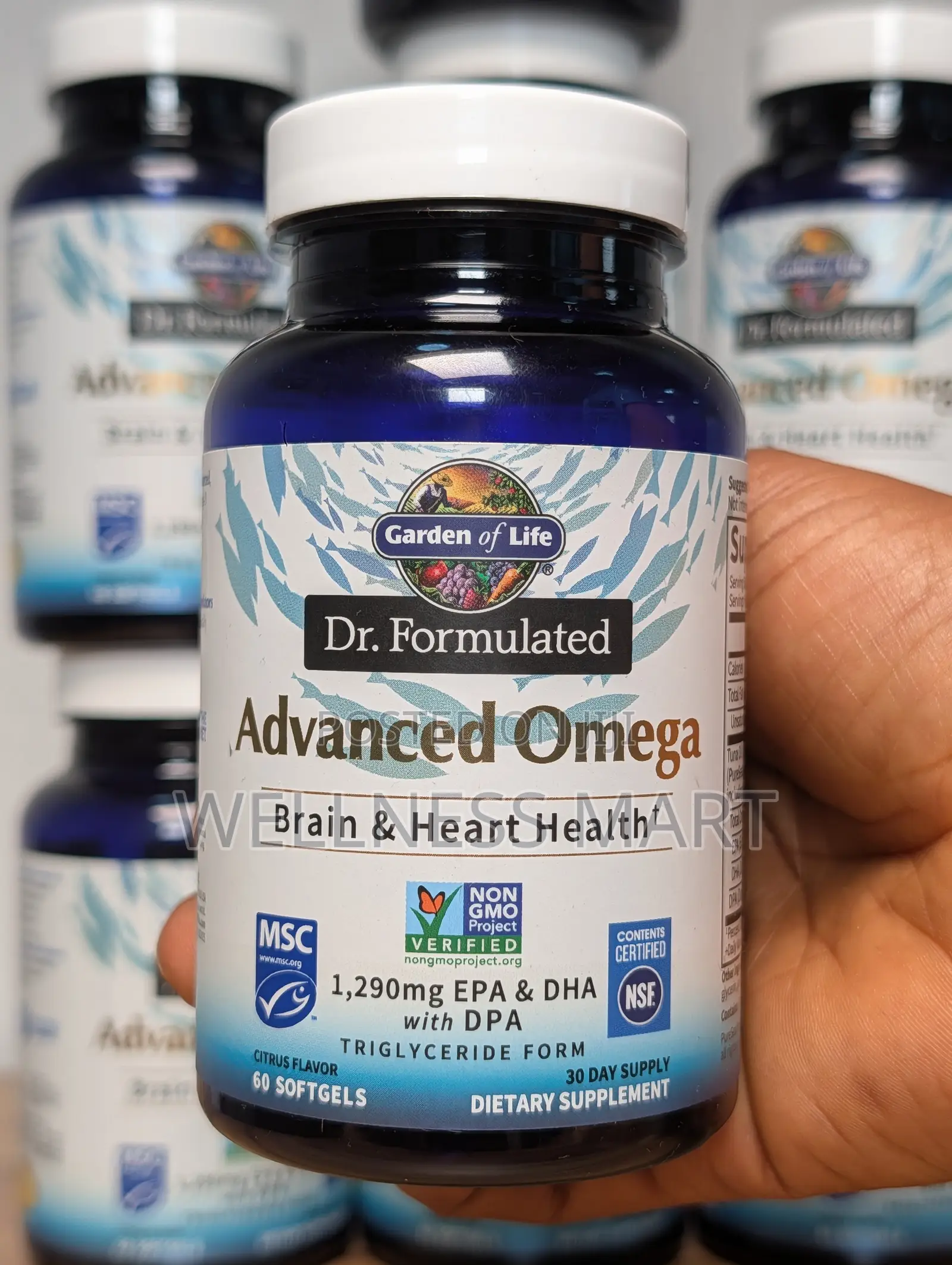 Garden of Life Advanced Omega 1290mg 60 Softgels | Brain Heart