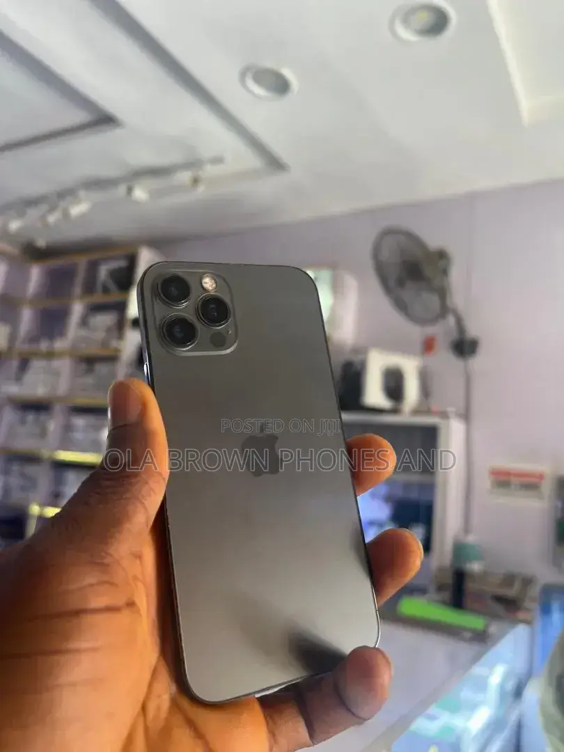 Apple iPhone 11 Pro Max 256 GB Gray