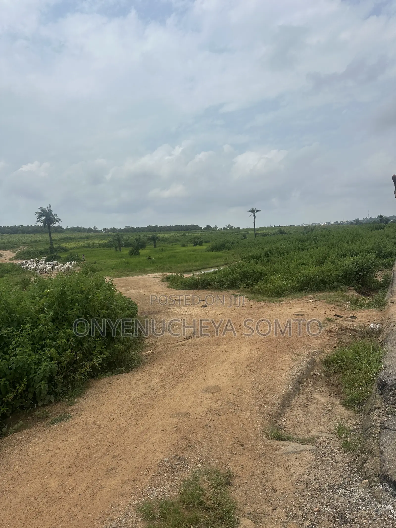 500SQM Estate Land 5 Bedroom Fully Detached Duplex