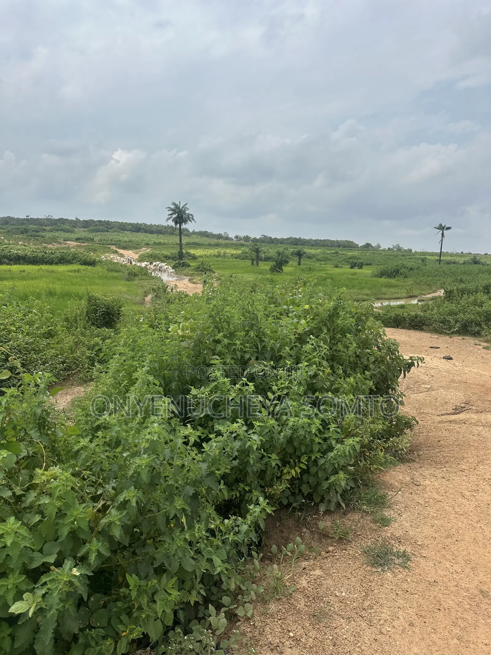 500SQM Estate Land 5 Bedroom Fully Detached Duplex
