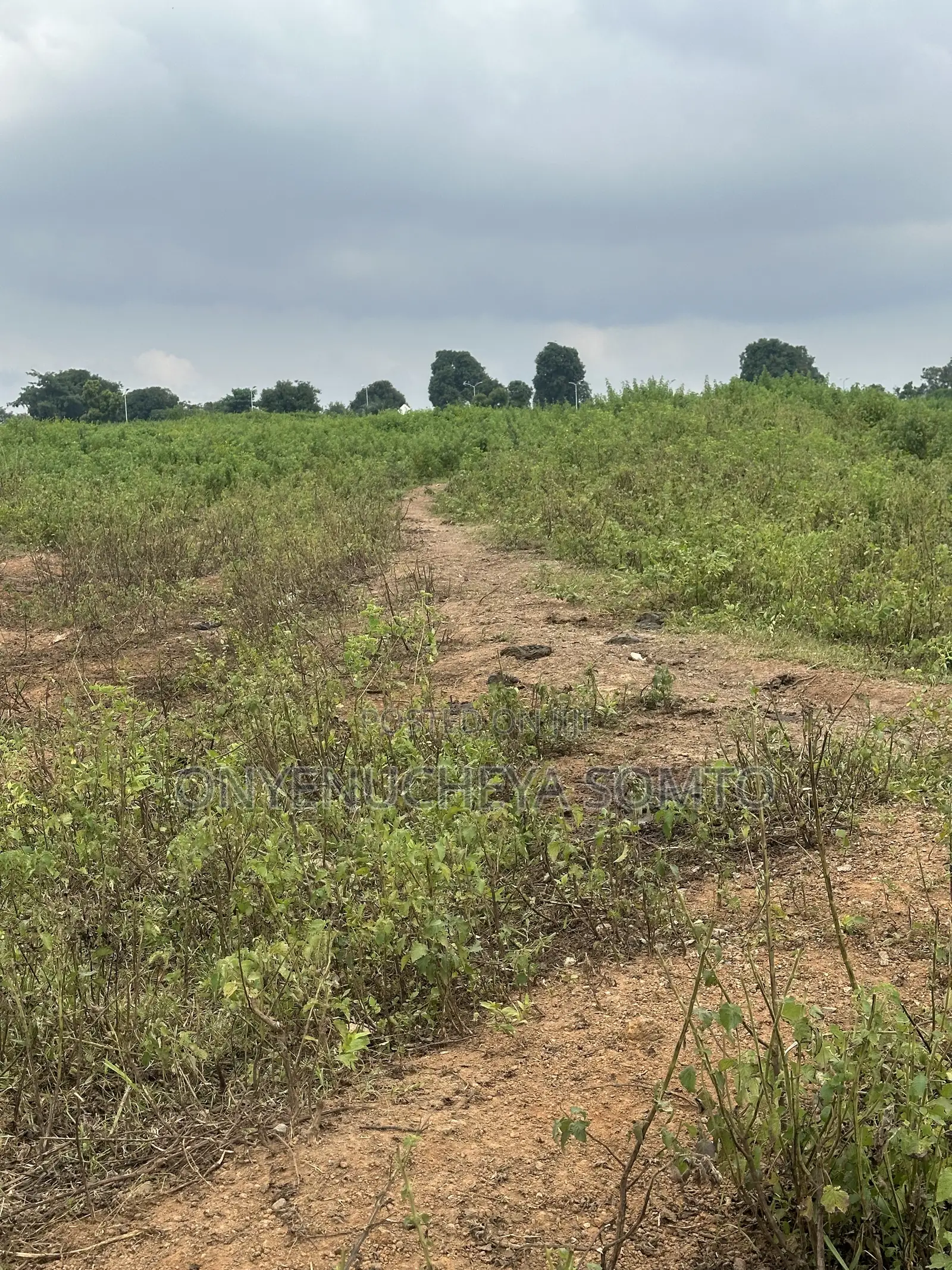 500SQM Estate Land 5 Bedroom Fully Detached Duplex