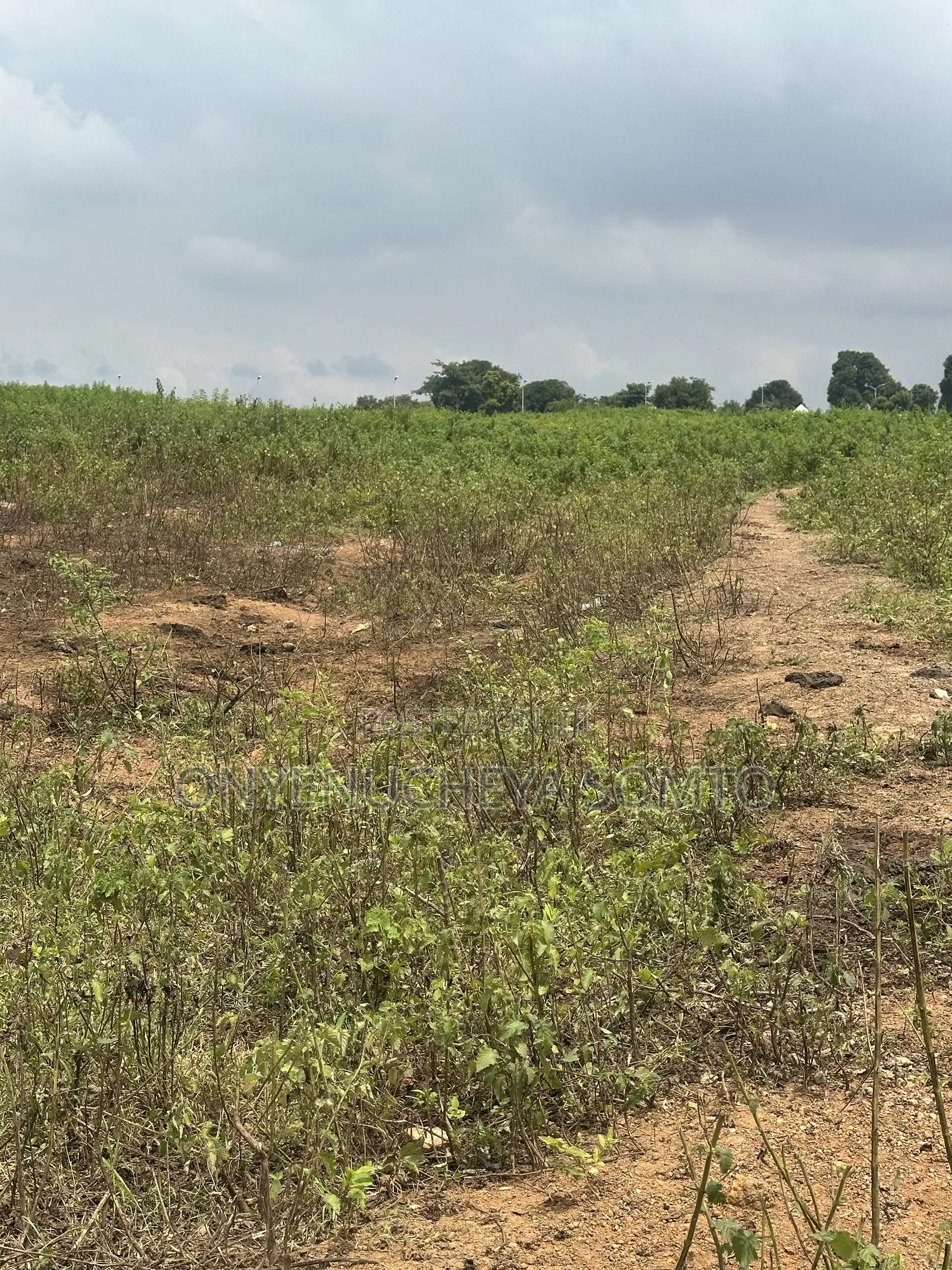 500SQM Estate Land 5 Bedroom Fully Detached Duplex
