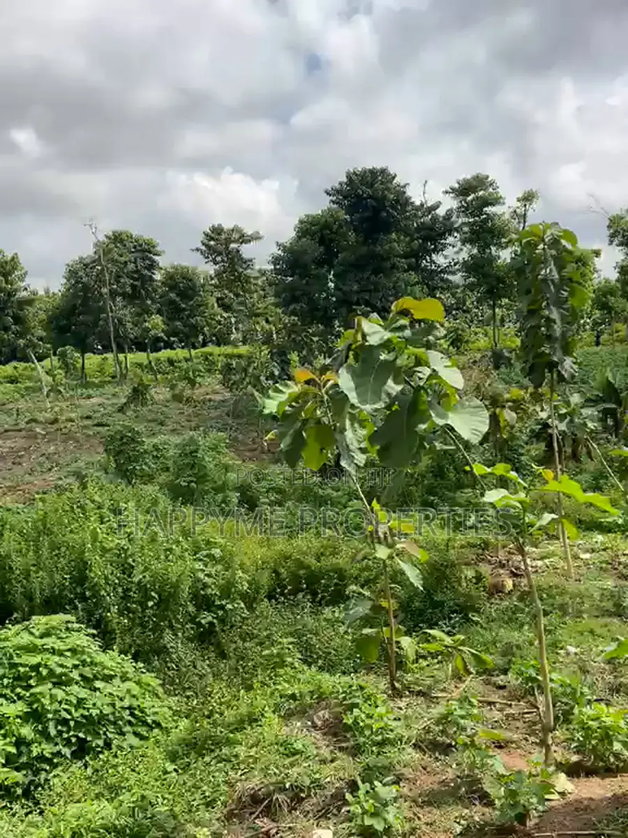 Distress Sale | 2 Prime Residential Plots in Durumi