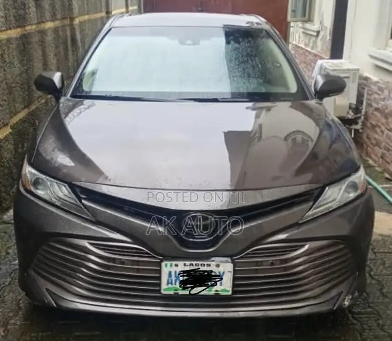 Toyota Camry XLE (2.5L 4cyl 8A) 2019 Gray