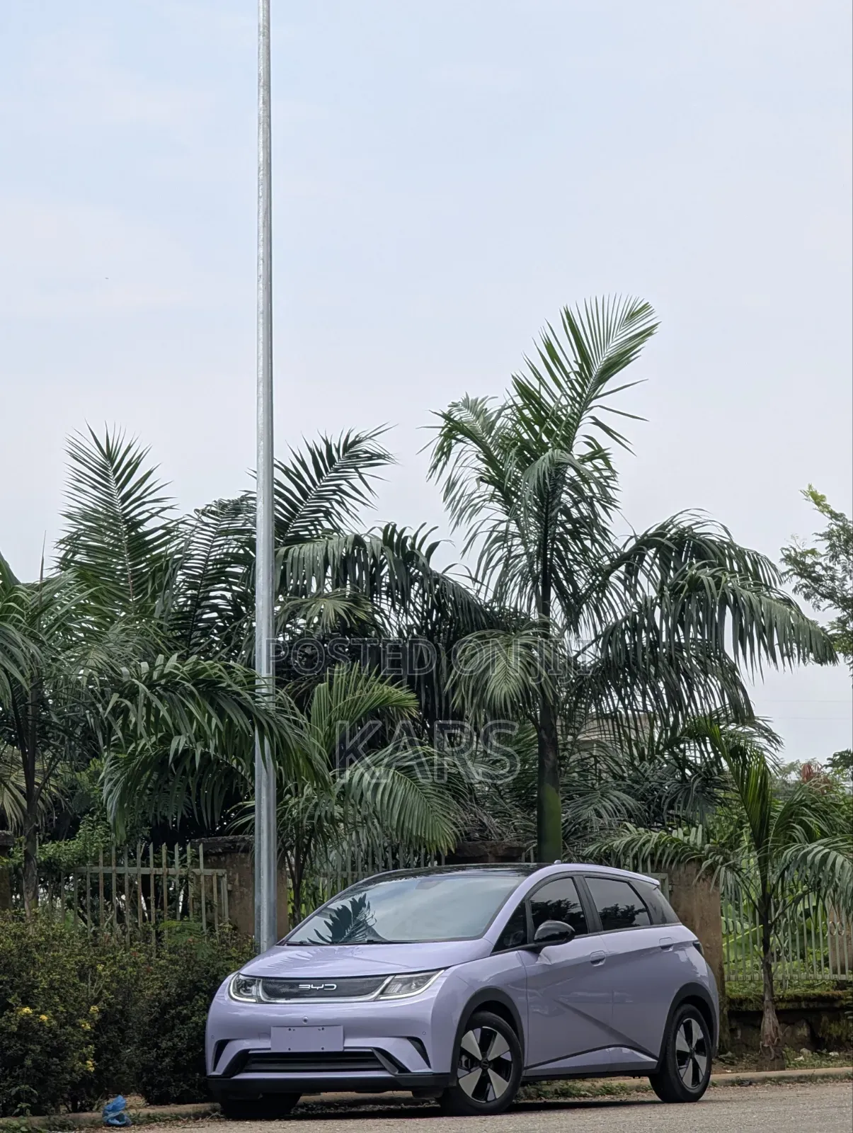 BYD Qin Plus DM-i 2023 Purple