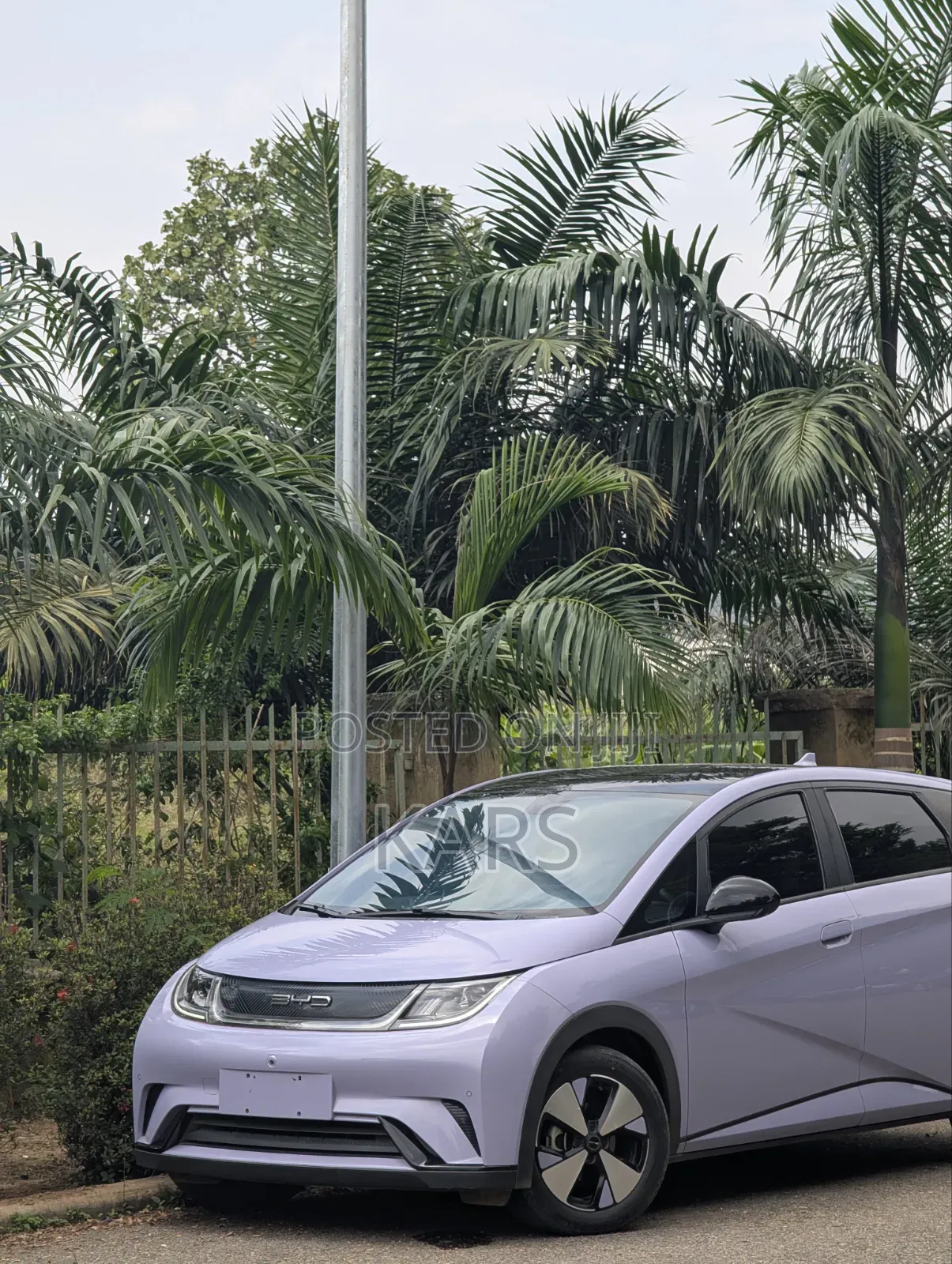 BYD Qin Plus DM-i 2023 Purple