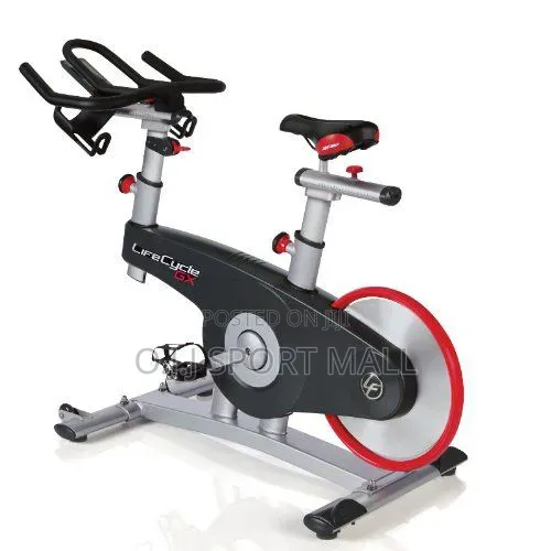 Standard Weight Exercise Fitness Bike for Home and Commercial
