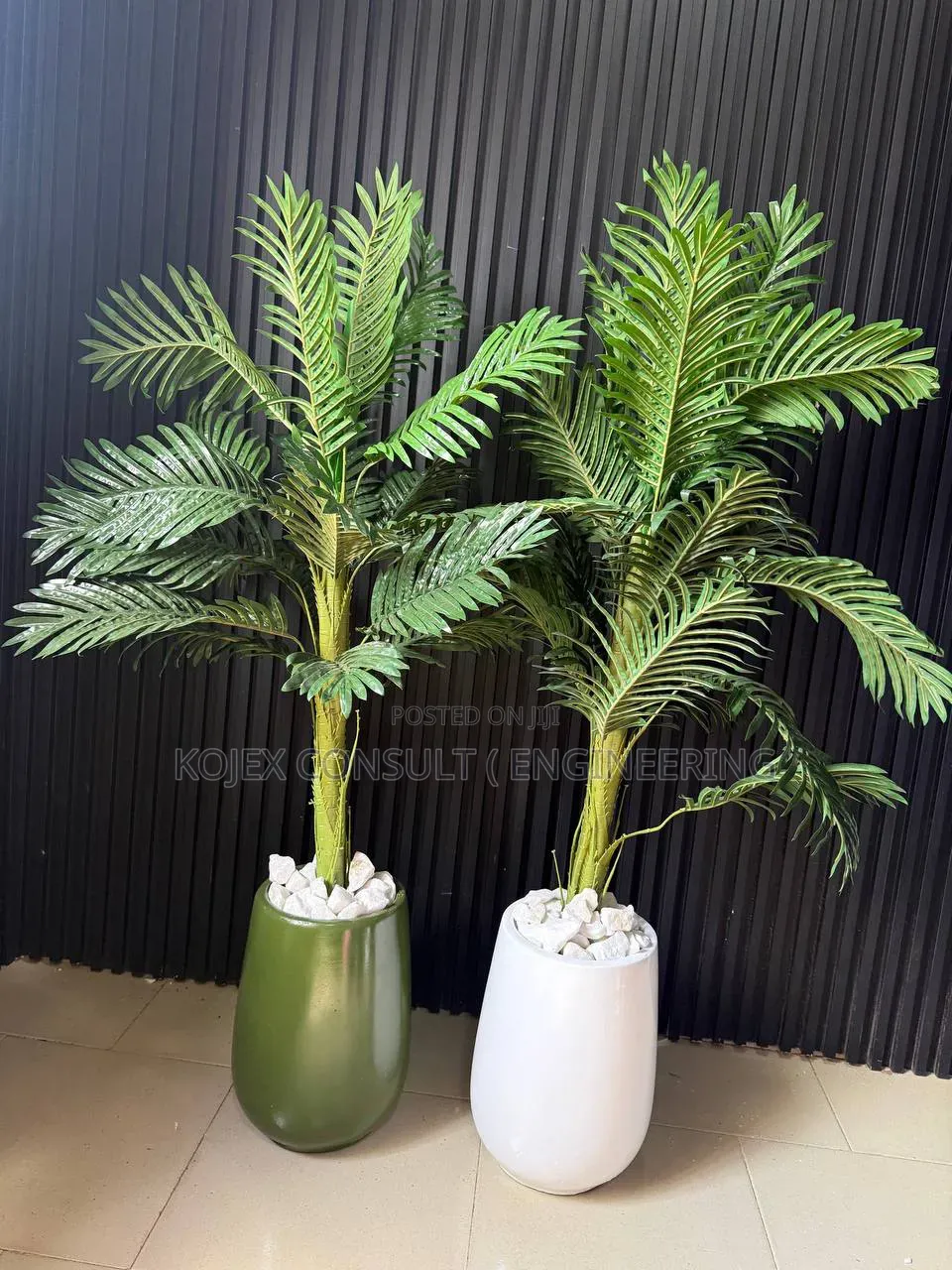 Egg Accent VASE With Palm Plant 
Size ;5ft 
Pot Is Fibre