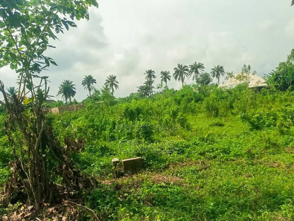 Mixed-Used Land
